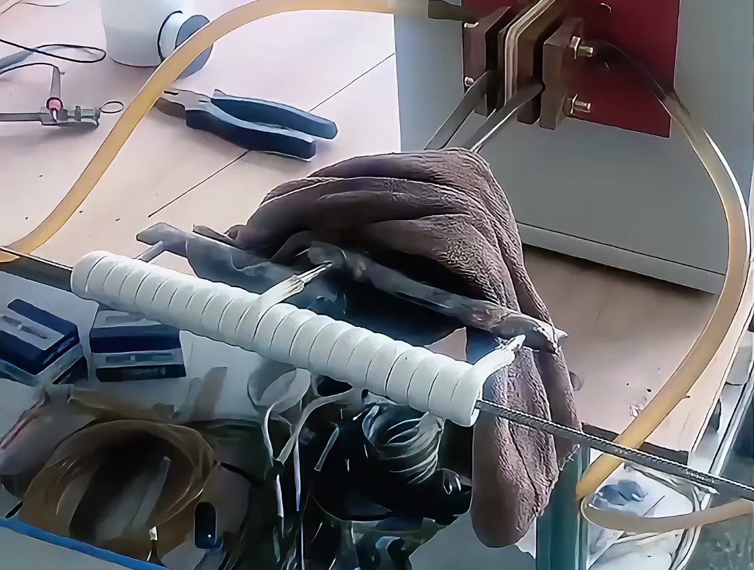 海瑞拓超高頻加熱機(jī)：不銹鋼絲在線退火的高效解決方案，賦能多領(lǐng)域線材加工